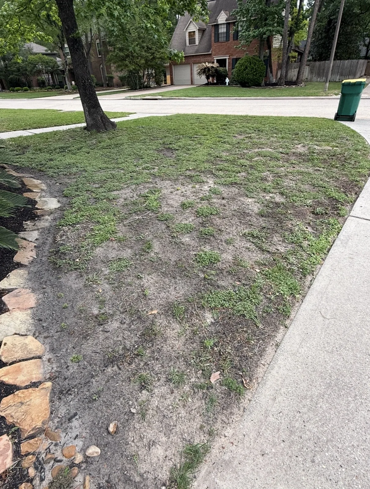 Day 0 lawn progress